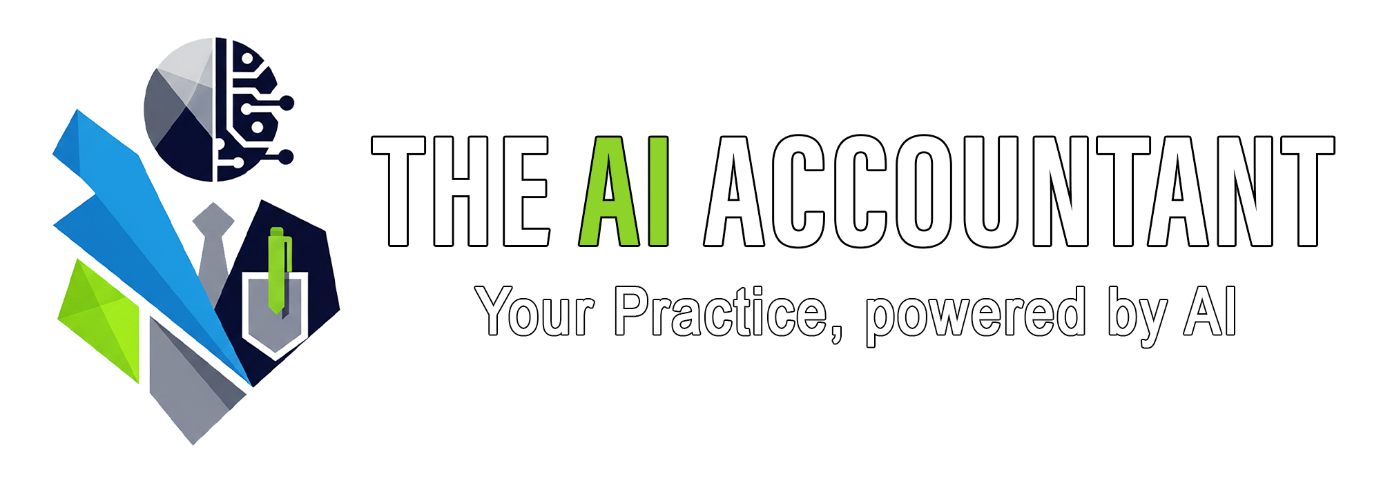 The AI Accountant